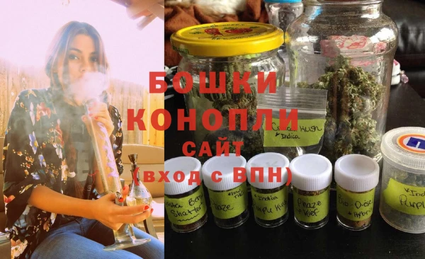 шишки Гусь-Хрустальный