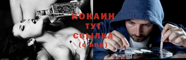крисы Вязники