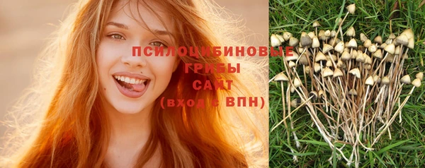 МДПВ Вяземский