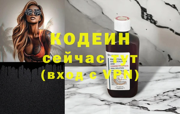 МДПВ Вяземский