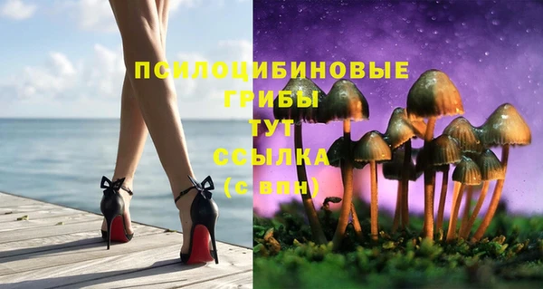 крисы Вязники