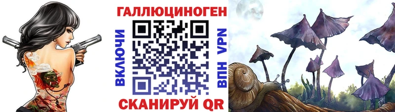 где купить   Дедовск  Галлюциногенные грибы прущие грибы 